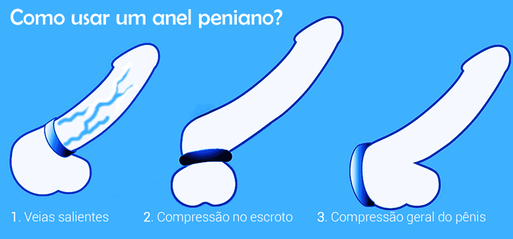 Afinal, pra que serve anel peniano?