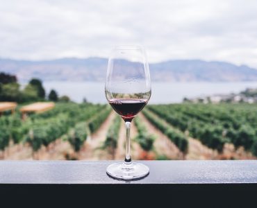 destinos para amantes de vinho