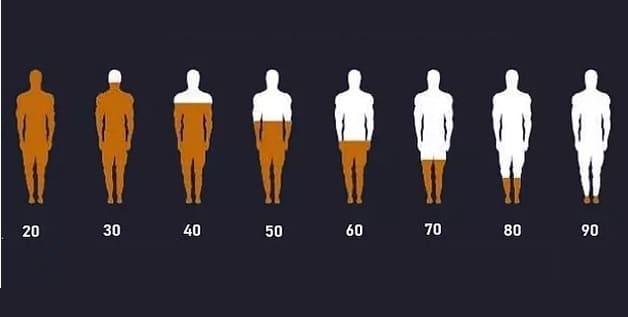 aumentar o testosterona